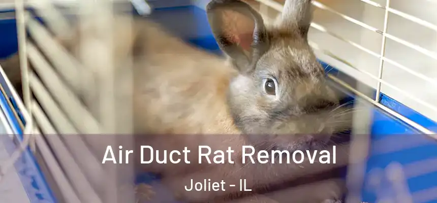  Air Duct Rat Removal Joliet - IL