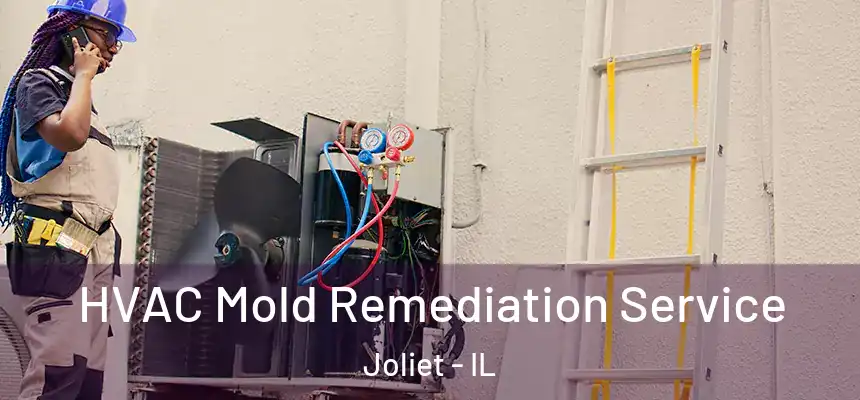  HVAC Mold Remediation Service Joliet - IL