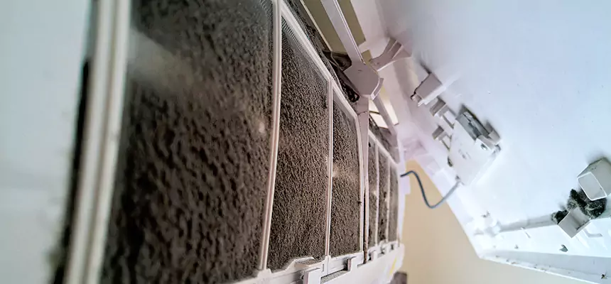 Preventive Air Duct Bacteria Removal in Joliet