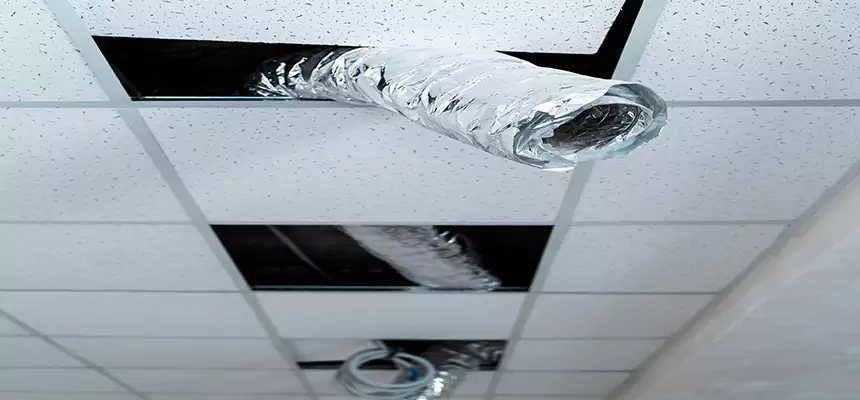 Our Air Duct Pet Hair Removal Services in Joliet, IL