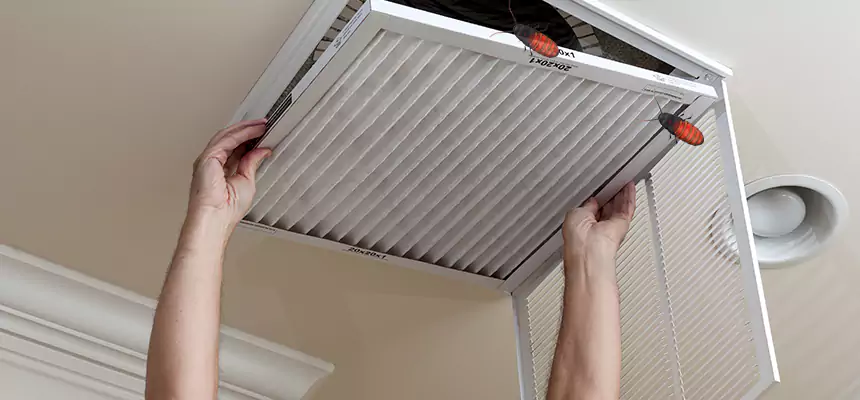 Our Insect Removal from Air Ducts Services in Joliet, IL
