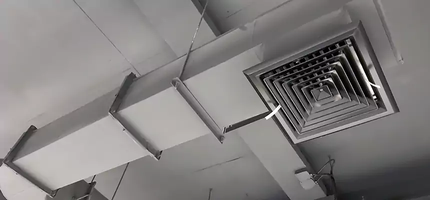 Our Pest Removal From Ducts Services in Joliet, IL