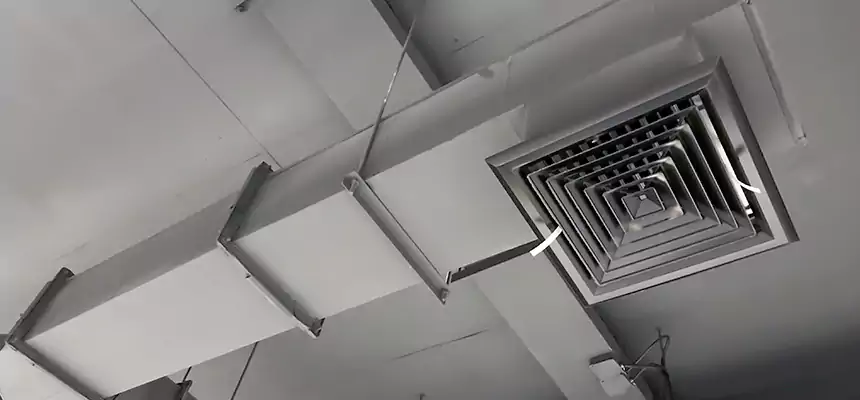 Our Rodent Droppings In Vents Services in Joliet, IL