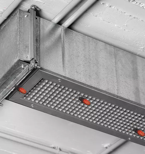 About Air Duct Cockroach Removal in Joliet, IL