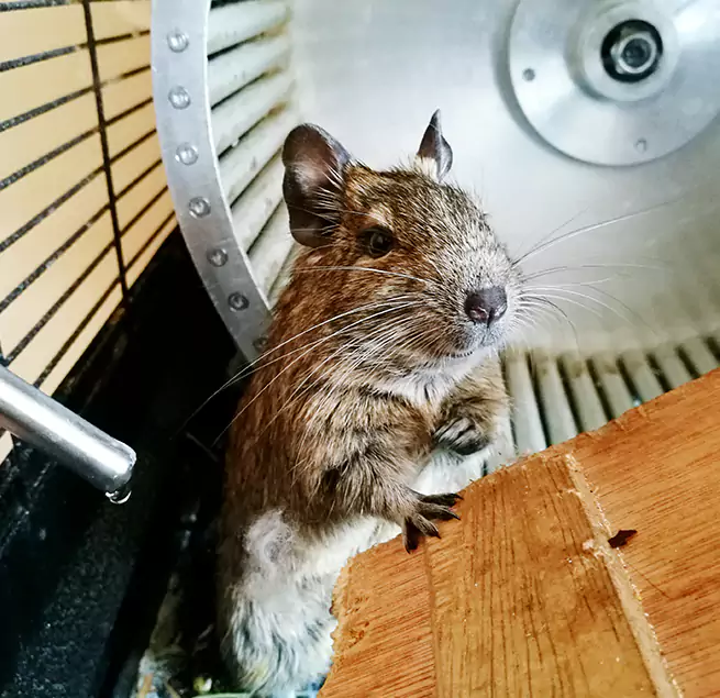 Why Homeowners & Businesses Trust Us Joliet, IL