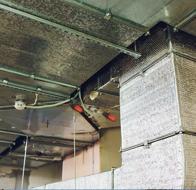 Why Homeowners & Businesses Trust Us Joliet, IL?