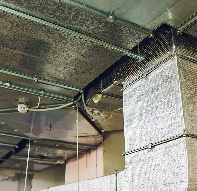 Why Homeowners & Businesses Trust Us in Joliet, IL?